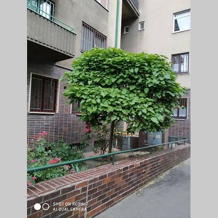 A Cosy Studio In The City Centre 브라티슬라바 외부 사진