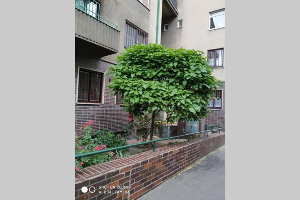 A Cosy Studio In The City Centre 브라티슬라바 외부 사진