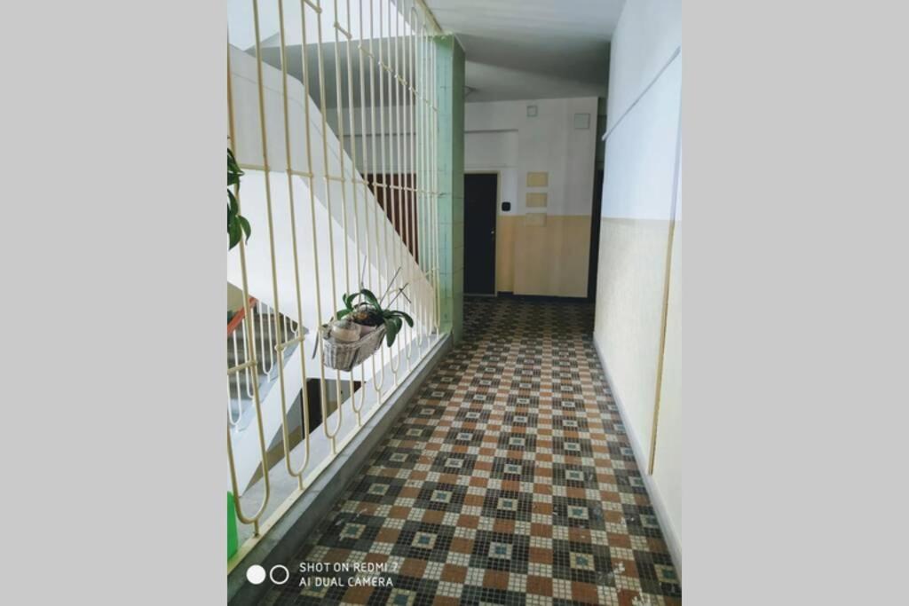 A Cosy Studio In The City Centre 브라티슬라바 외부 사진